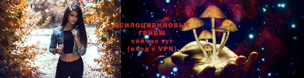 СК Козельск